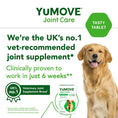 Load image into Gallery viewer, YuMOVE Joint Care for Adult Dogs Hip & Joint Supplement Chew
