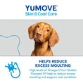 Load image into Gallery viewer, YuMOVE Skin & Coat Care Dog Supplement 500ml Moulting Support for Adult Dogs
