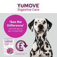 Load image into Gallery viewer, YuMOVE Digestive Care PLUS Dog Supplement Probiotic & Digestive Support 6 Sachets
