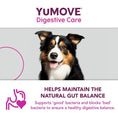 Load image into Gallery viewer, YuMOVE Digestive Care PLUS Dog Supplement Probiotic & Digestive Support 6 Sachets
