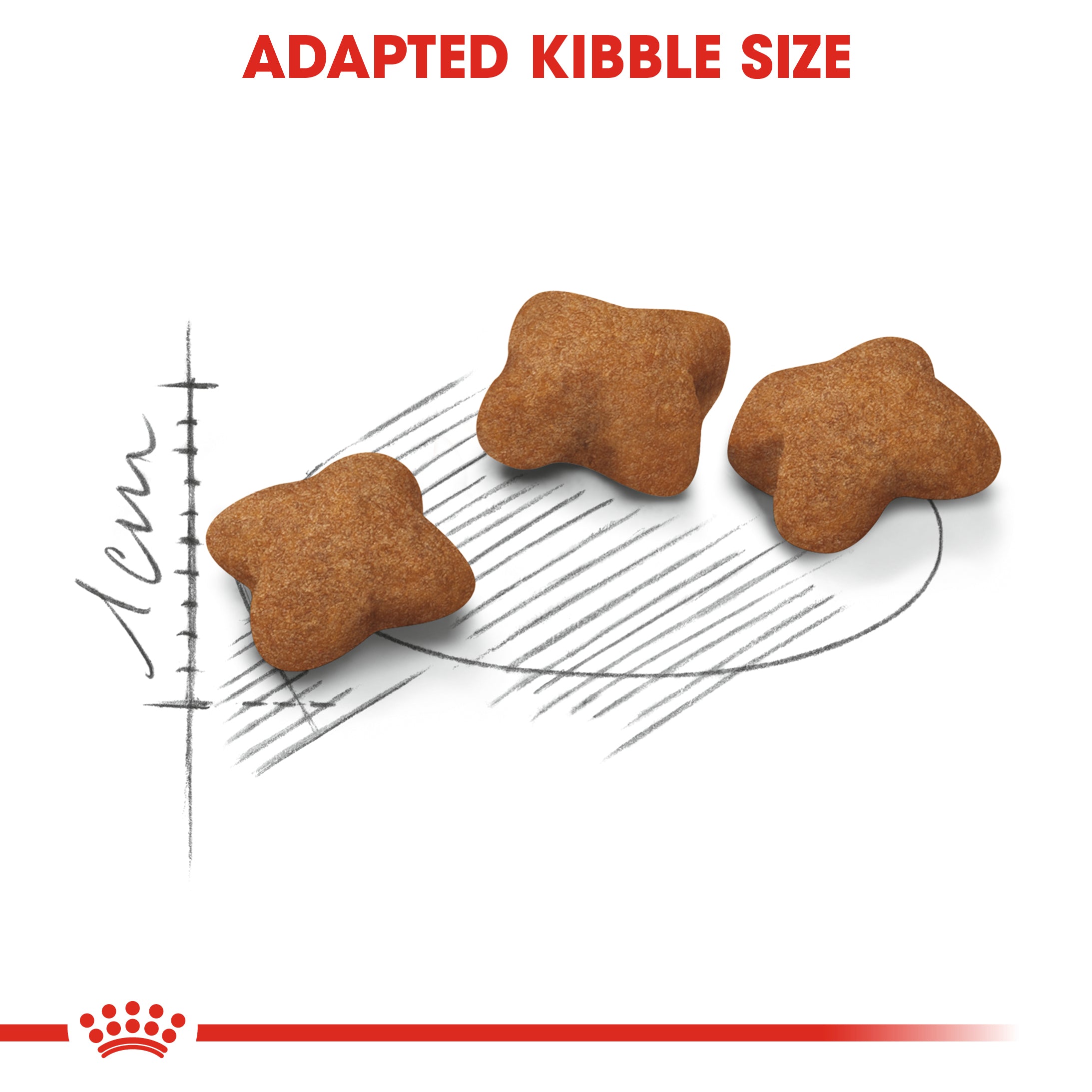 Royal Canin Kitten Sterilised Dry Food