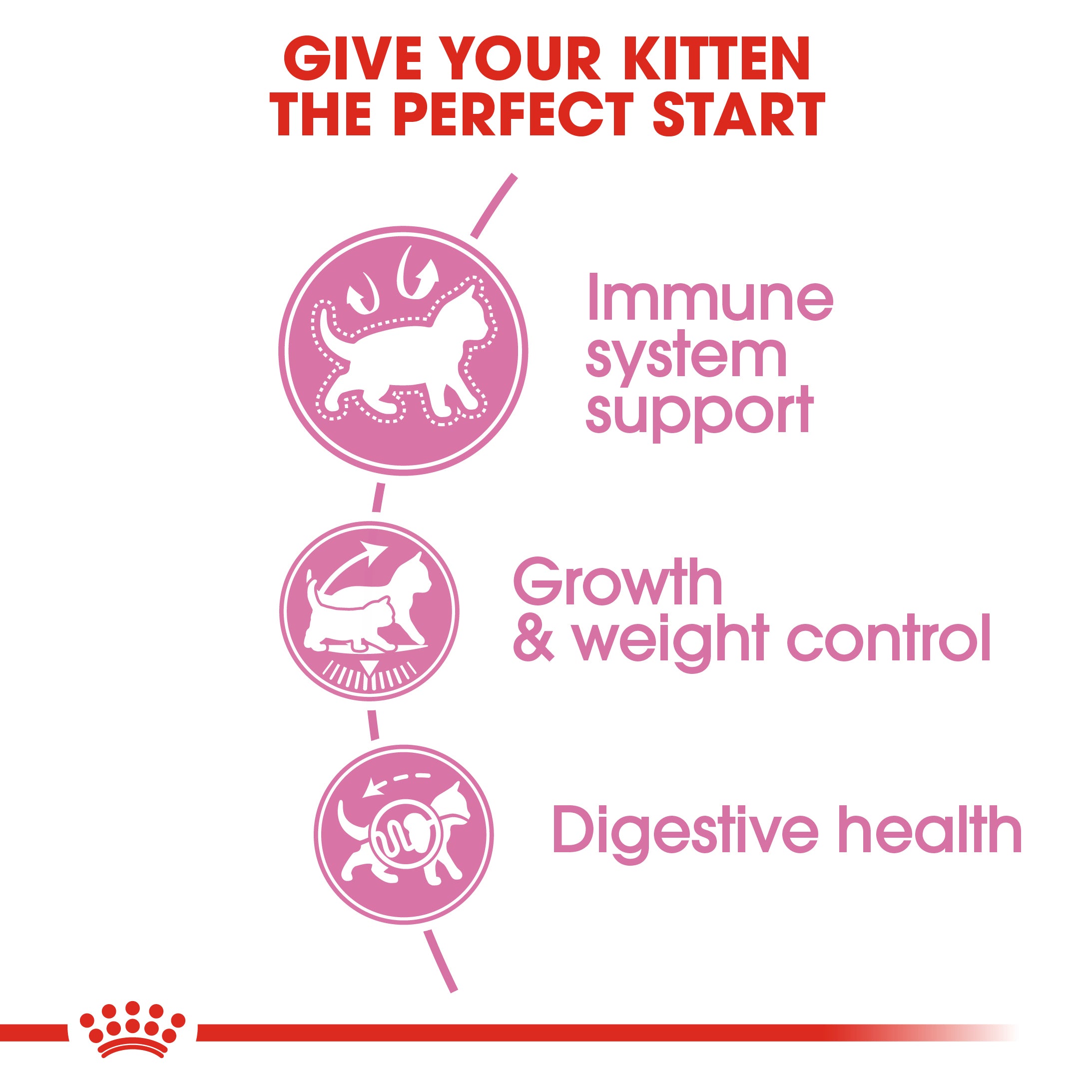 Royal Canin Kitten Sterilised Dry Food