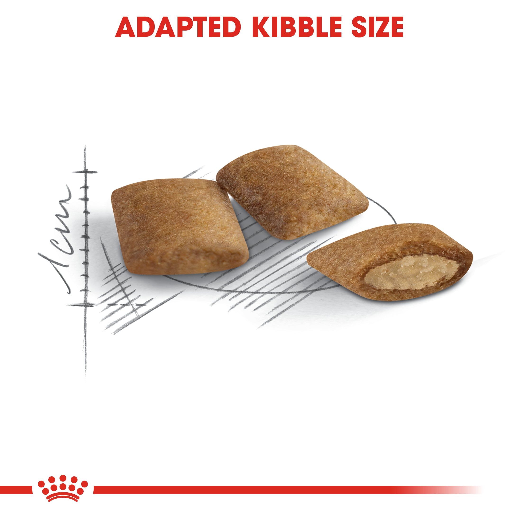 Royal Canin Ageing 11+ Dry Cat Food