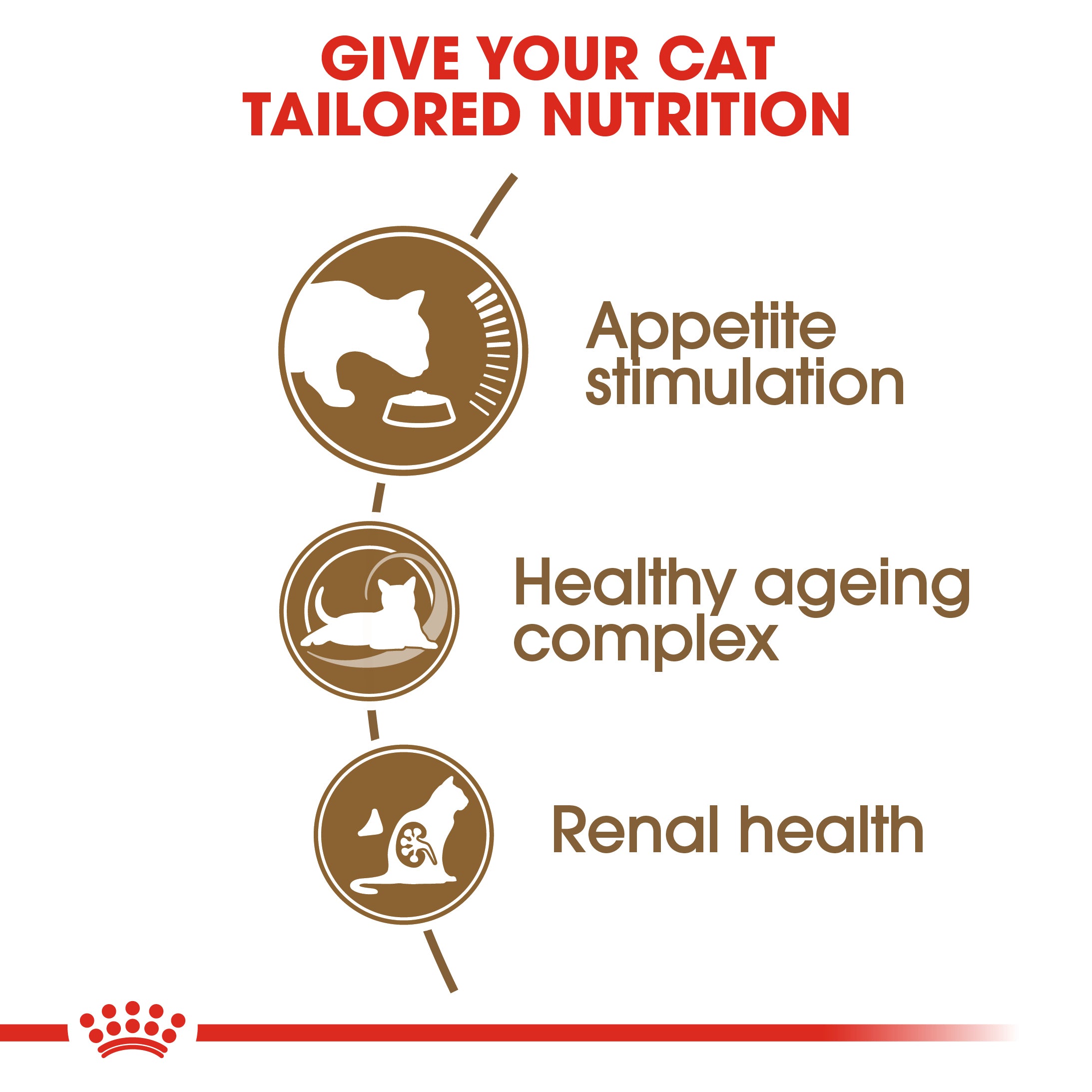 Royal Canin Ageing 11+ Dry Cat Food