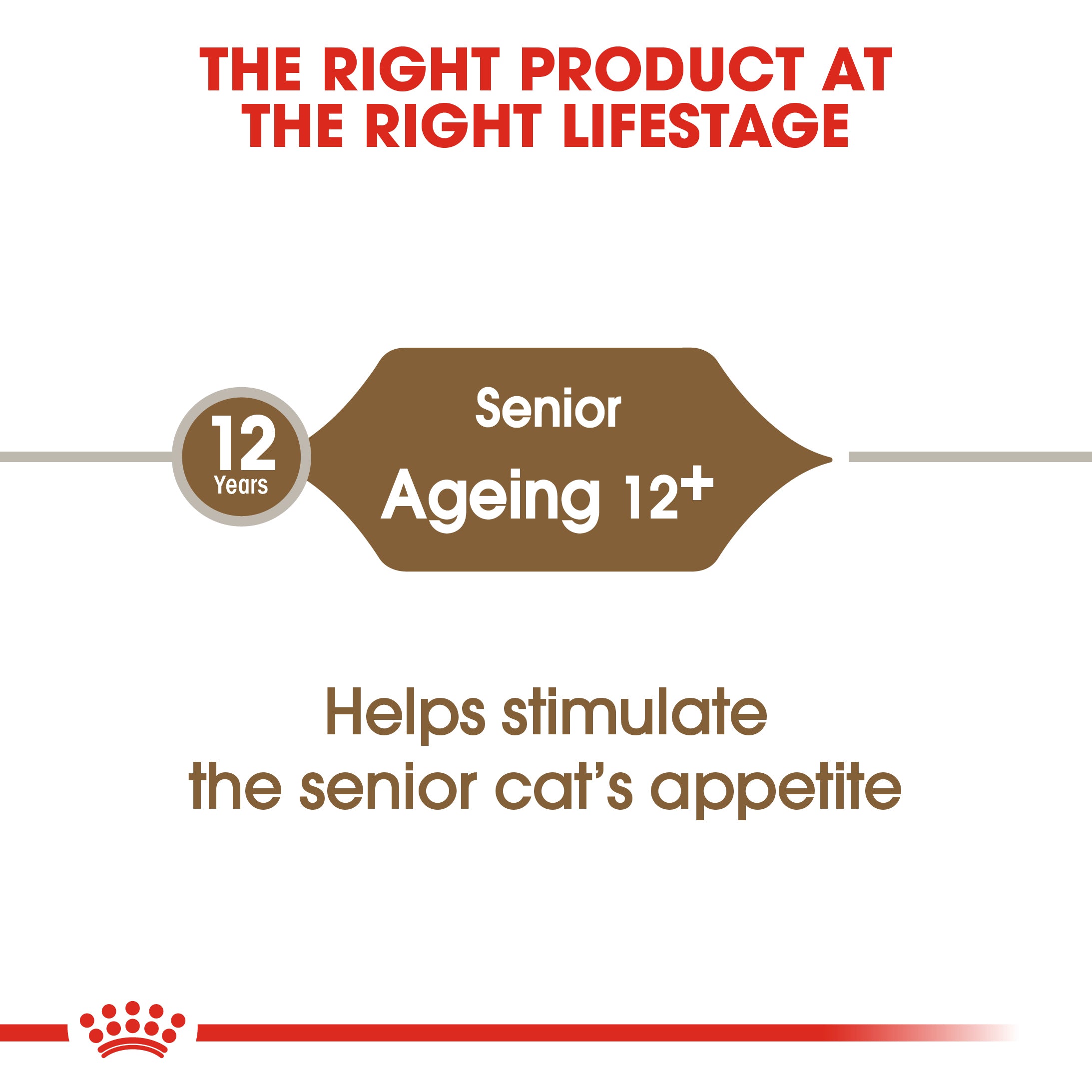 Royal Canin Ageing 11+ Dry Cat Food