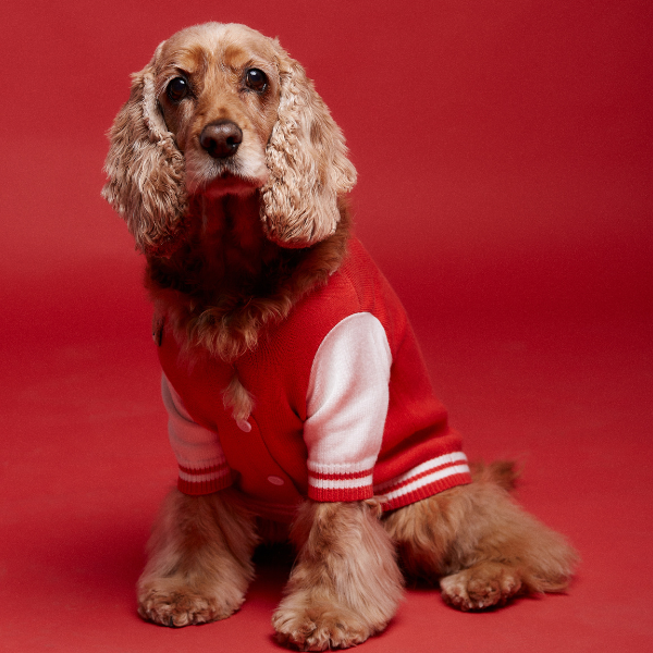 MOOKIE JACKET: XS