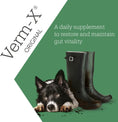 Load image into Gallery viewer, Verm X Treats For Dogs Restores and Maintains Gut Vitality 100g
