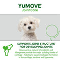 Load image into Gallery viewer, YuMOVE Joint Care for Young Dogs Hip & Joint Supplement, Mobility Support 240 Pack
