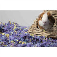 Load image into Gallery viewer, Carefresh Small Per Bedding Confetti 50L
