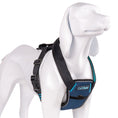 Load image into Gallery viewer, CarSafe Crash Tested Harness
