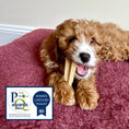 Load image into Gallery viewer, Bamboodles T Bone Chew Toy for Dogs Medium 6Inch Beef Flavour
