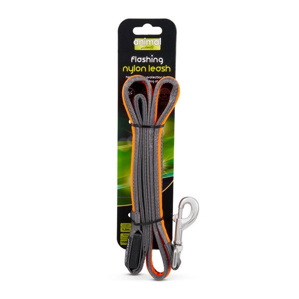 Animal Instincts Flashing Safety USB Rechargeable Dog Leash Durable Nylon Walking Leash Grey/Orange 1.2M