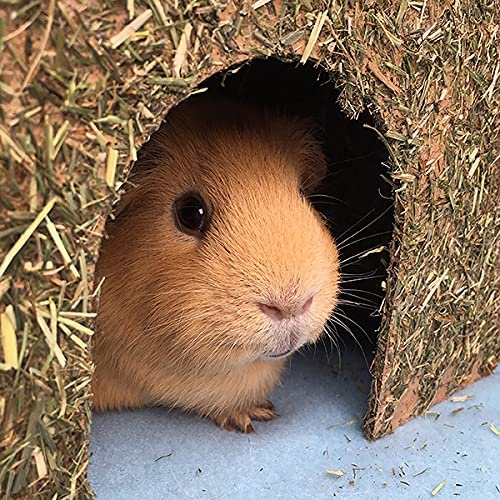Rosewood Carrot Cottage Small Animal Hideout & Chew Toy