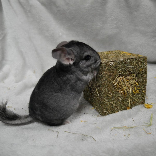 Rosewood “I Love Hay” Enrichment Cube – Edible Fun for Rabbits & Guinea Pigs