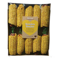 Load image into Gallery viewer, Rosewood Corn On The Cob Small Animal Chew Treats, 10pc, Case of 4
