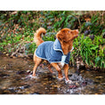 Load image into Gallery viewer, Henry Wag Drying Coat
