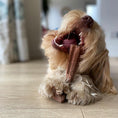 Load image into Gallery viewer, Bamboodles T Bone Chew Toy for Dogs Small 4Inch Chicken Flavour
