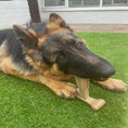 Load image into Gallery viewer, Bamboodles T Bone Chew Toy for Dogs Large 7Inch Peanut Butter Flavour
