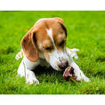 Load image into Gallery viewer, Doodles Deli Air Dried Beef Nose Cartilage 1kg
