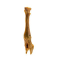 Load image into Gallery viewer, Doodles Deli Air Dried Lamb Foot 1kg
