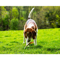 Load image into Gallery viewer, Doodles Deli Air Dried Rabbit Ears with Hair 1kg
