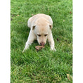 Load image into Gallery viewer, Doodles Deli Air Dried Beef Lung 15cm 1kg
