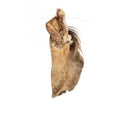 Load image into Gallery viewer, Doodles Deli Air Dried Beef Ears With Hair 1kg
