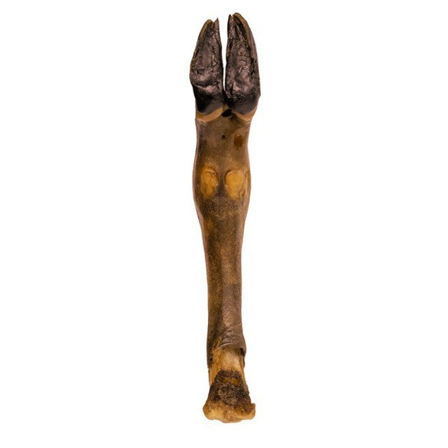 Doodles Deli Air Dried Lamb Foot Natural 1kg