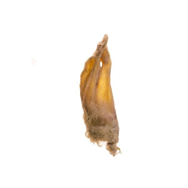 Doodles Deli Air Dried Lamb Ears With Hair 1kg