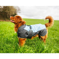 Load image into Gallery viewer, Henry Wag Waterproof Coat Extra Small 35cm
