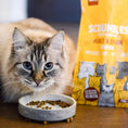Load image into Gallery viewer, Scrumbles Dry Cat Food Adult Chicken 2.5kg
