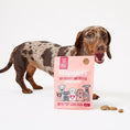 Load image into Gallery viewer, Scrumbles Dog Treats Softies Salmon Training Treats 90g Case of 8
