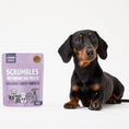 Load image into Gallery viewer, Scrumbles Dog Treats Nibbles Turkey Calming Treats 100g Case of 8

