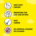 Load image into Gallery viewer, Dreamies Creamy Cat Treats with Chicken 40g
