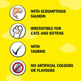 Load image into Gallery viewer, Dreamies Creamy Cat Treats with Salmon 40g
