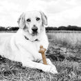 Load image into Gallery viewer, Pet Qwerks BarkBone Mint Stick Chew Toy X Large
