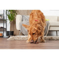 Load image into Gallery viewer, Doodles Deli Air Dried Linked Chicken Sausages 5kg
