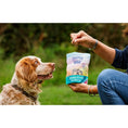 Load image into Gallery viewer, Cooper & Co Air Dried Treats Sensitive Duck 100g
