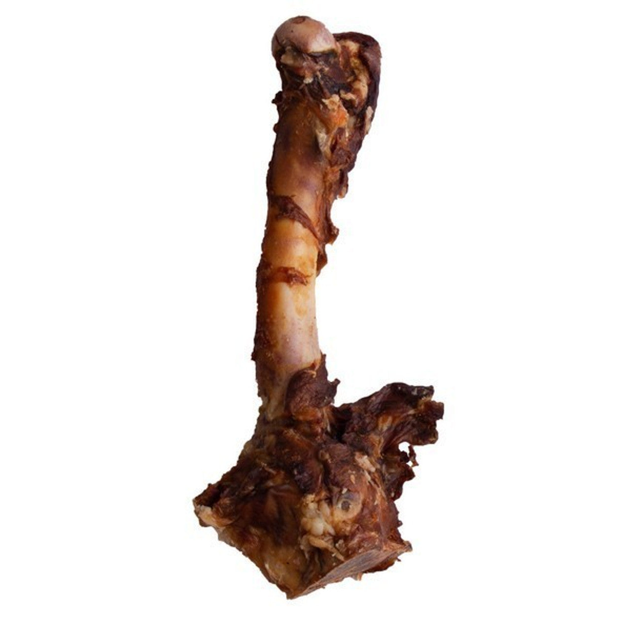 Doodles Deli Air-Dried Lamb Femur Bone 1pcs