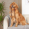 Load image into Gallery viewer, Doodles Deli Air Dried Pure Rabbit Linked Sausages 5kg

