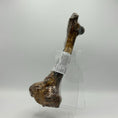 Load image into Gallery viewer, Doodles Deli Air Dried Deer Bone 1pc
