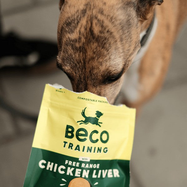 Beco Dog Treats Insect Protein Snacks 70g Healthy Natural Dog Treats, Case of 10