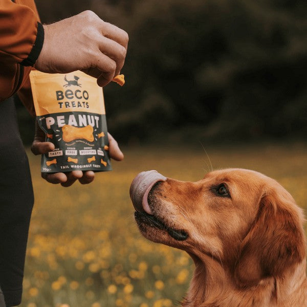 Beco Dog Treats Peanut Flavor Natural Healthy Dog Snacks 70g Case of 10