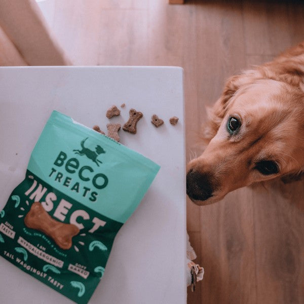 Beco Dog Treats Insect Protein Snacks Healthy Natural 70g Pack