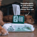 Load image into Gallery viewer, Beco Bamboo Dog Wipes Unscented Natural Pet Grooming Wipes for Sensitive Skin, Eco-Friendly & Gentle Cleaning
