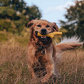 Load image into Gallery viewer, Beco Natural Rubber Dog Toy Super Stick Chew Toy Orange Durable & Safe for Dogs
