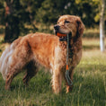 Load image into Gallery viewer, Beco Natural Rubber Slinger Fetch Dog Toy Orange Durable Chew & Toss Interactive Play

