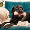 Load image into Gallery viewer, Beco Natural Rubber Chew Bone Green Durable Dog Toy for Teeth & Gums Eco-Friendly Pet Accessory
