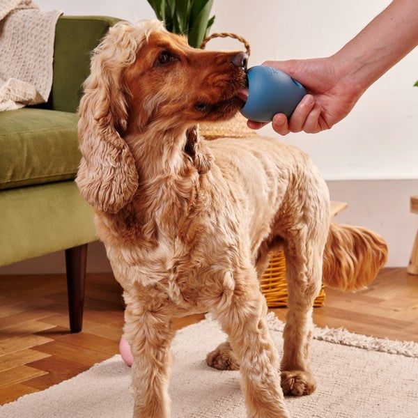 Beco Natural Rubber Enrichment Toy Blue Durable Dog Chew & Interactive Play Toy
