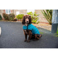 Load image into Gallery viewer, Henry Wag Teal Quilted Dog Jacket Extra Large 65cm
